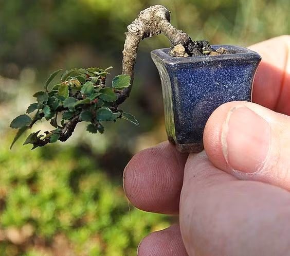 Dáng thác đổ tuyệt đẹp. Ảnh: Printest.