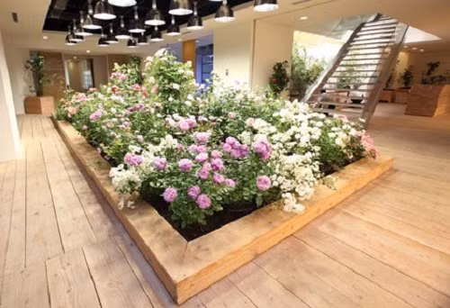 Ngoài rau còn có nhiều loại hoa đẹp mắt. Nguồn ảnh: Dezeen.