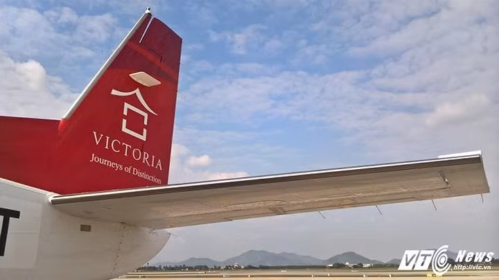 Sau 3 năm hoạt động, tính đến tháng 9 năm 2017, Hàng không Hải Âu đã phục vụ hơn 29.185 lượt khách trong nước và quốc tế.