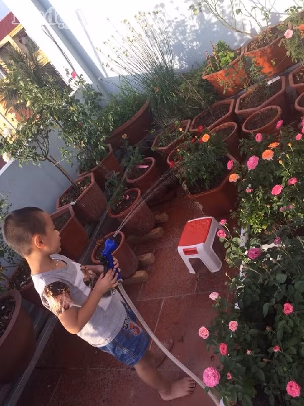 Chị Thảo trồng hoa được khoảng gần hai năm. Ngay từ khi có một tổ ấm nhỏ của riêng mình chị đã luôn ấp ủ có một vườn hồng riêng nhỏ xinh.