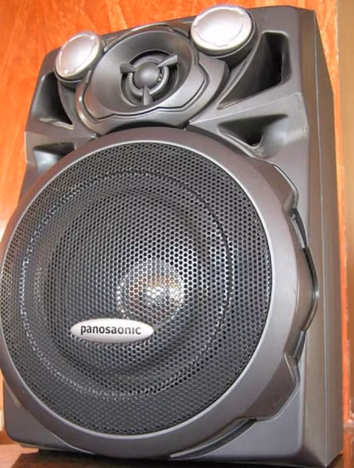 Panasonic bị làm giả thành "Panosaonic". Ảnh: Viralsection.