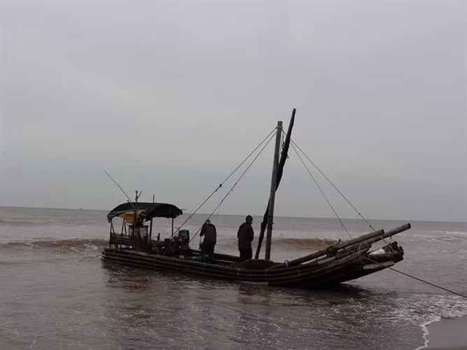 Những ngày qua, nhiều bà con ở xã Hải Triều (huyện Hải Hậu, tỉnh Nam Định) liên tục trúng đậm tôm biển. (Ảnh: Báo NNVN)