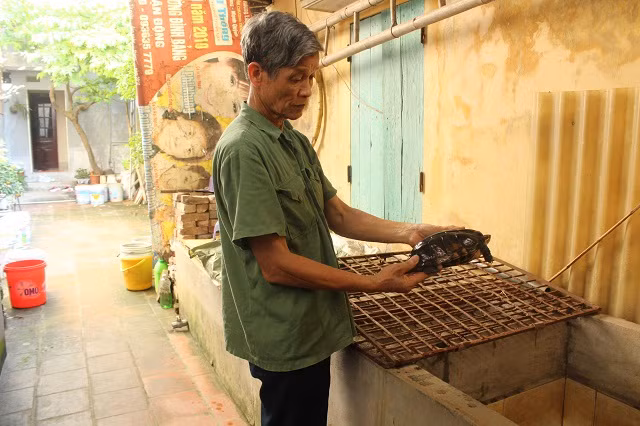 Trang trại rùa của ông Nguyễn Văn Bộ ở xã Nội Duệ, Tiên Du, Bắc Ninh có 60 con rùa Câm sinh sản. Ảnh: Dân Việt.