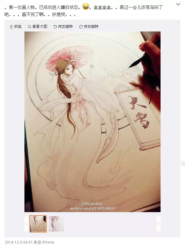 Dù không chuyên về dòng tranh truyền thống, nhưng với ý tưởng táo bạo và sức sáng tạo tuyệt vời, Lý Hiểu Lâm đã dung hòa những yếu tố của tranh truyền thống và hiện đại để tạo nên một phong cách riêng cho các tác phẩm của mình.