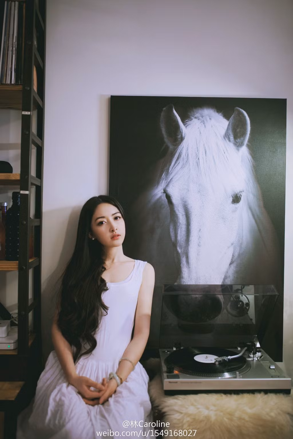 Tự nhận là người "không chuyên", Lý Hiểu Lâm chủ yếu thực hiện các tác phẩm mang nhiều nét tươi vui, sống động để hấp dẫn các bạn trẻ.