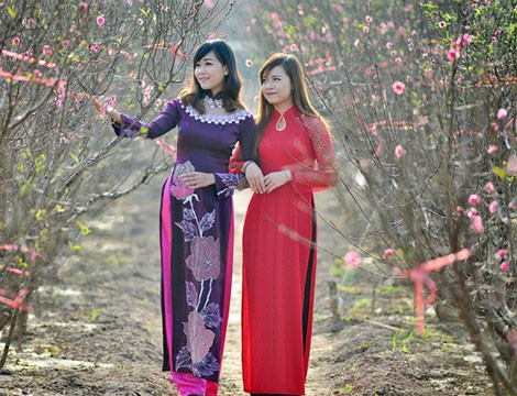 Khoe những bộ ảnh đẹp, đầu tư. Phong trào chụp ảnh đang ngày càng phổ biến, nhất là dịp Tết đến xuân về, cô gái trẻ nào hầu như cũng mong muốn có được những tấm hình đẹp lung linh tại vườn đào, phố hoa... cùng trang phục áo dài truyền thống để khoe với bạn bè.