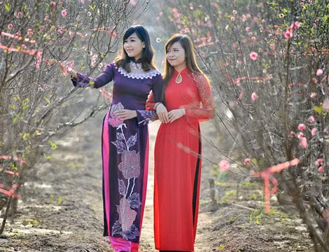 Khoe những bộ ảnh đẹp, đầu tư. Phong trào chụp ảnh đang ngày càng phổ biến, nhất là dịp Tết đến xuân về, cô gái trẻ nào hầu như cũng mong muốn có được những tấm hình đẹp lung linh tại vườn đào, phố hoa... cùng trang phục áo dài truyền thống để khoe với bạn bè.