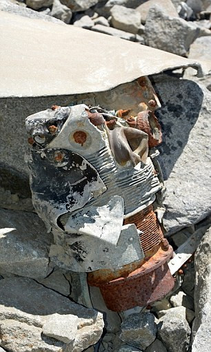 Từ khi chiếc máy bay được xác định gặp nạn và mất tích, sau một quá trình nỗ lực tìm kiếm giới chức Chile đã phải chịu bó tay. Từ đó người ta bắt đầu suy đoán về nguyên nhân của vụ tai nạn, một vài câu chuyện hoang đường cũng được dựng lên và được nhiều người đồn đại.