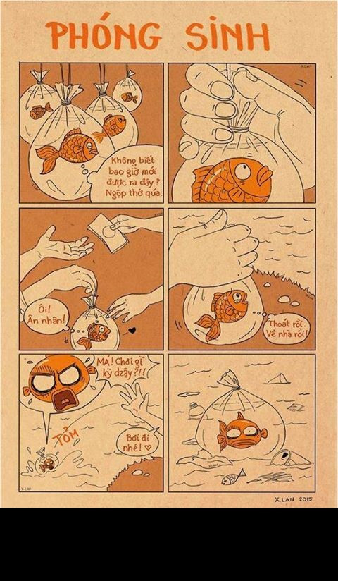 Ngày lễ ông Công ông Táo đánh dấu thời điểm tròn 1 tuần trước năm mới, đây không chỉ là dịp để các bạn trẻ quây quần với gia đình mà còn là thời gian để họ tha hồ suy ngẫm và sáng tạo về ý nghĩa, những hoạt động chính trong ngày lễ này. Từ sáng 11/2 ( tức 23 tháng Chạp) trên mạng xã hội đã tràn ngập những hình ảnh về chủ đề cá chép, ông Táo về trời.