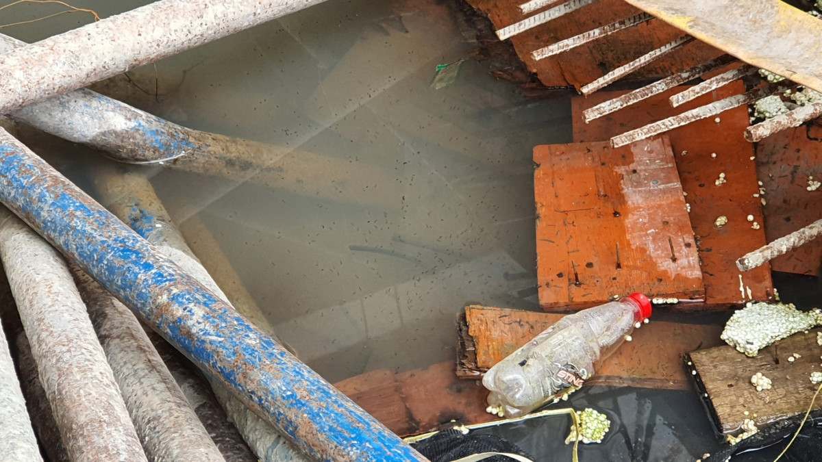 TPHCM gia tăng ca sốt xuất huyết nặng, nguy cơ dịch bùng phát - Hình 2 TPHCM gia tang ca sot xuat huyet nang, nguy co dich bung phat-Hinh-2