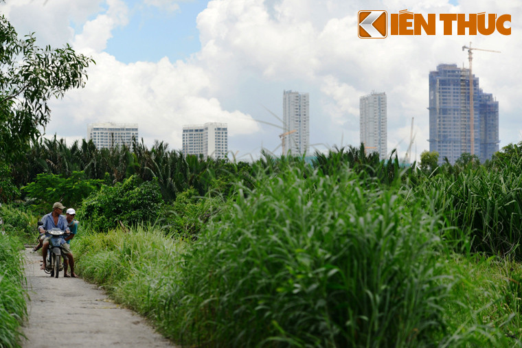 Thế nhưng trải qua 26 năm, nơi đây vẫn chỉ là vùng đất nông nghiệp hoang phế. Cư dân bán đảo Thanh Đa phải sống trong những căn nhà tuềnh toàng, không có đường đi, đất đai bỏ hoang vì dự án "treo" suốt ngần ấy năm.