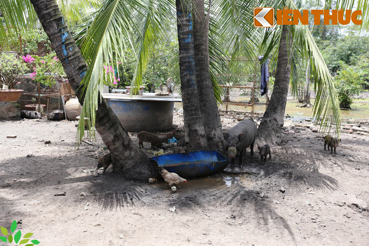 "Việc có tìm được nhà đầu tư hay không cũng phải giải quyết dứt điểm, không để tình trạng này kéo dài", người đứng đầu chính quyền TP HCM khẳng định.