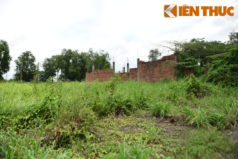 Liên quan đến "quy hoạch Thanh Đa", tại kỳ họp thứ 9, HĐND TP HCM khóa IX mới đây, Chủ tịch TP HCM Nguyễn Thành Phong cho biết Văn phòng UBND TP HCM vừa báo cáo với Thành ủy về việc tìm kiếm nhà đầu tư mới cho dự án Bình Quới - Thanh Đa.