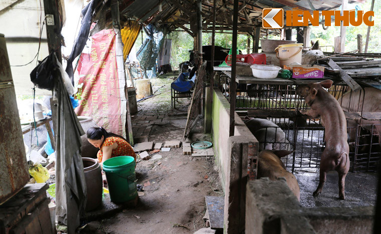 "Nếu không triển khai như quy hoạch trước đây, chính quyền nên sớm "dỡ treo", để người dân có thể chủ động trên mảnh đất của mình", đó là mong muốn của tất cả người dân phải sống trong cảnh dự án Thanh Đa - Bình Quới bị treo suốt 26 năm qua.