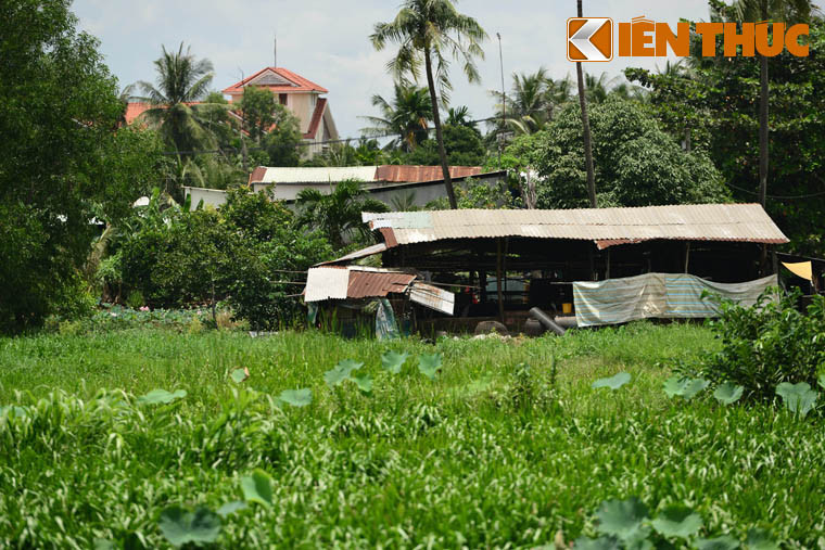 Cảnh xập xệ của người dân ở bán đảo Thanh Đa vì vướng "quy hoạch treo". Hầu như những cư dân Thanh Đa bản xứ ở đây, ai cũng sở hữu ít nhất vài nghìn m2 đất, người nhiều thì đến vài ha. Tuy nhiên, họ chỉ có thể sử dụng một phần để trồng lúa, sen, rau và thả cá kiếm chút thu nhập qua ngày.