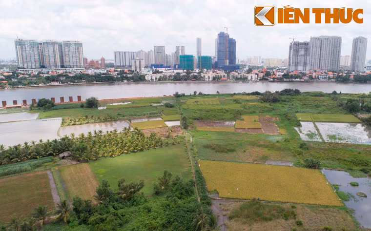  "Bán đảo Thanh Đa" thuộc phường 28, quận Bình Thạnh, TP HCM chỉ cách các quận trung tâm TP HCM như quận 1, 3, Phú Nhuận... vài chục phút đi xe máy. Từ khu bán đảo, có thể nhìn thấy những tòa nhà cao chọc trời ở quận 1 và khu đô thị mới Thủ Thiêm quận 2 đang phát triển từng ngày.