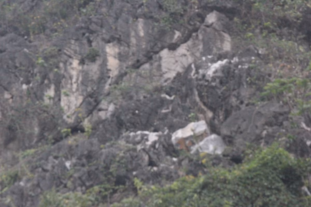 Noi so hai kinh hoang sau tieng no min pha da o Hai Duong-Hinh-6