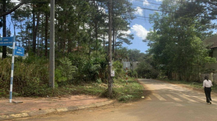 Vi sao du an biet thu tren dat rung Mang Den bi Cong an dieu tra?-Hinh-2