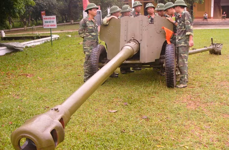 D-44 85mm được xếp vào phân loại pháo chống tăng hoặc pháo dã chiến cấp sư đoàn, do Uralmash sản xuất từ cuối chiến tranh thế giới thứ 2 tới tận năm 1953 cho Hồng quân Liên Xô. Sau này, Liên Xô xuất khẩu số lượng lớn pháo D-44 85mm cho Việt Nam sử dụng trong kháng chiến chống Mỹ.