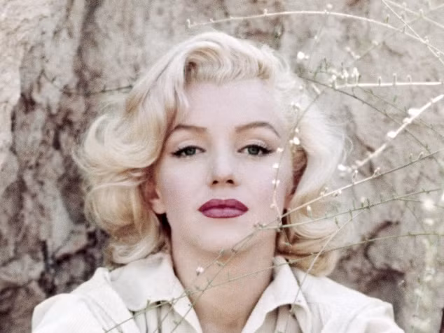 Nữ diễn viên Marilyn Monroe được nhiếp ảnh gia David Conover phát hiện ra khi cô đang làm việc tại công ty Radio Plane ở Burbank (California). Đây là một nhà máy quốc phòng thuộc sở hữu của nam diễn viên điện ảnh Mỹ Reginald Denny.