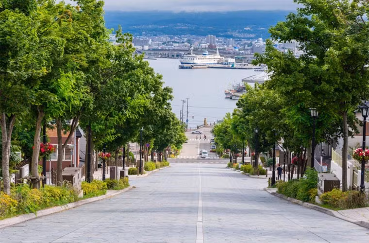 Hokkaido ở Nhật Bản nổi tiếng với nhiều núi lửa, suối nước nóng và các khu trượt tuyết tuyệt đẹp. Nơi đây cũng thích hợp với các hoạt động ngoài trời khi có nhiều công viên quốc gia.
