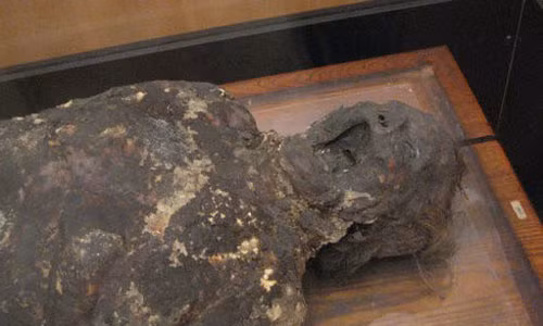 Xác chết hóa sáp giống như khối xà phòng là một sự thật rùng rợn về cái chết, khiến không ít người kinh ngạc xen lẫn sợ hãi. Lịch sử từng ghi nhận một xác ướp nam giới có cơ thể béo được chuyển hóa thành một loại như xà phòng, giống sáp ở nhà ga xe lửa Philadelphia năm 1875.