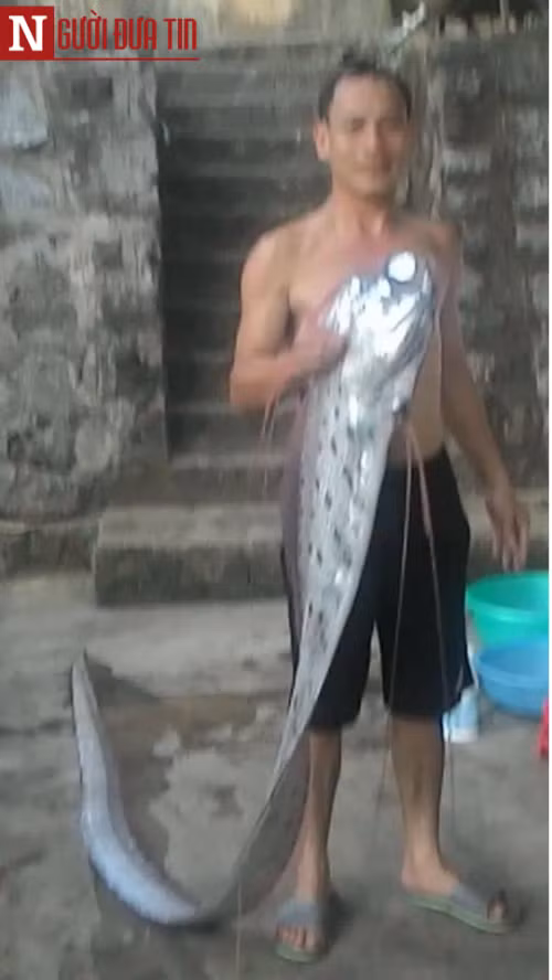 Thực hư "thủy quái" lạ dài 3m vừa bắt ở Hà Tĩnh Thuc hu