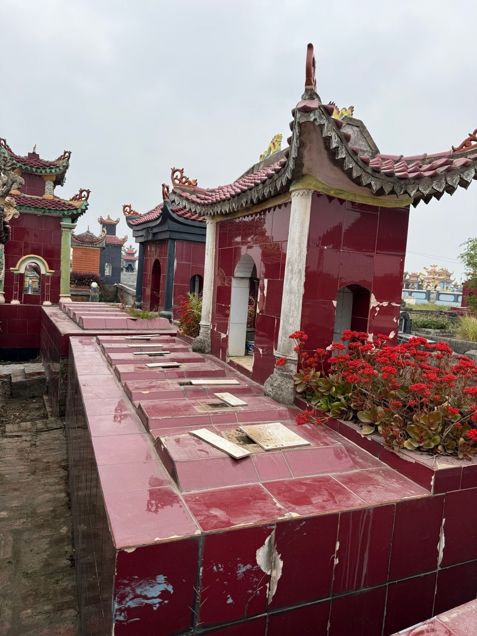 Giac mo noi mo phan: Nhung cau chuyen ky bi mua Thanh minh-Hinh-2