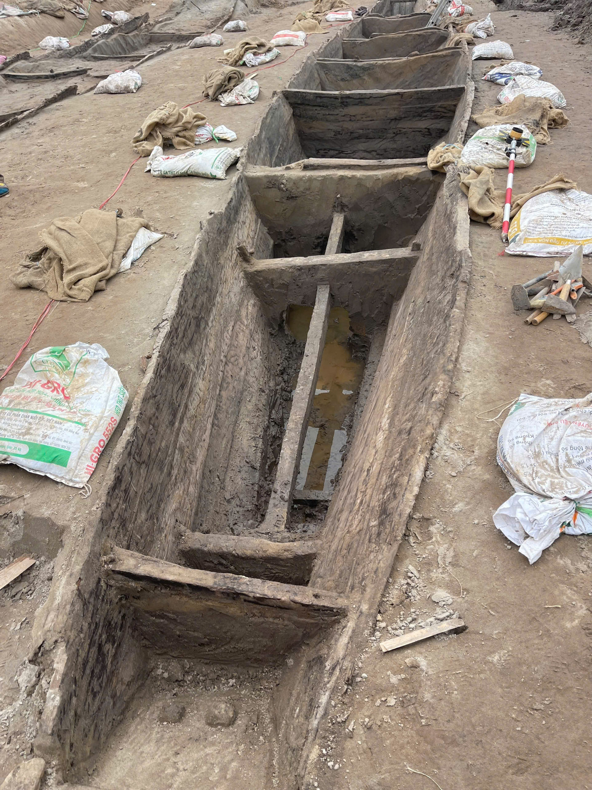 Theo nhà Sử học Dương Trung Quốc, trước mắt, công tác bảo tồn đang được đặt lên hàng đầu. Có hai hướng tiếp cận: giữ nguyên thuyền tại chỗ, biến khu vực thành di tích khảo cổ ngoài trời, hoặc tách bóc hiện vật để bảo quản lâu dài.