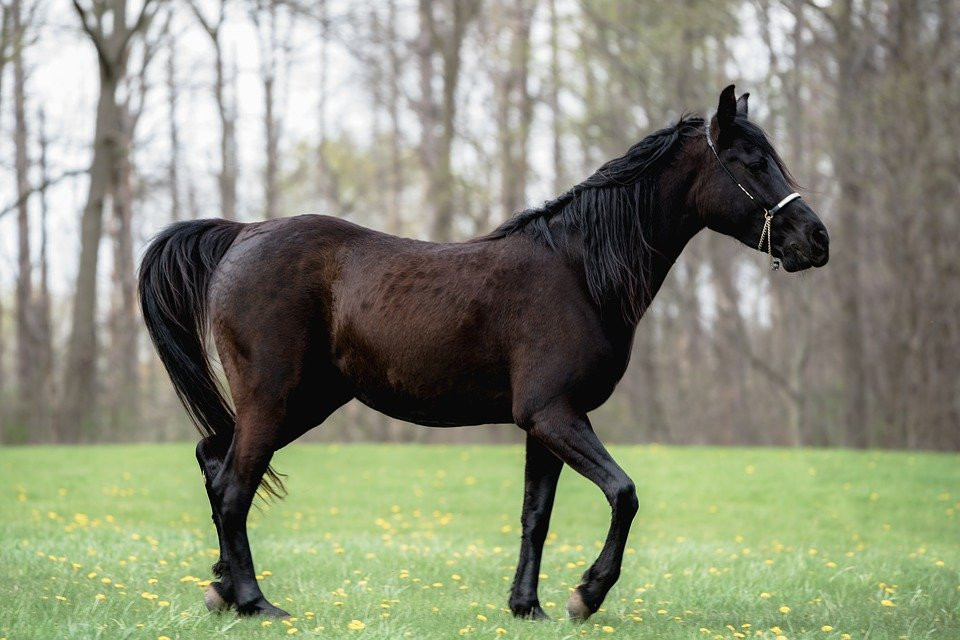 Ngoài ra, con giáp tuổi Ngọ cũng có thể gặp được may mắn trong chuyện tình cảm. Những người độc thân lâu năm dễ tìm được tình yêu đích thực vì vậy họ nên nắm bắt mọi cơ hội để thể hiện tình yêu với người khác.*Thông tin trong bài chỉ mang tính chiêm nghiệm, tham khảo.