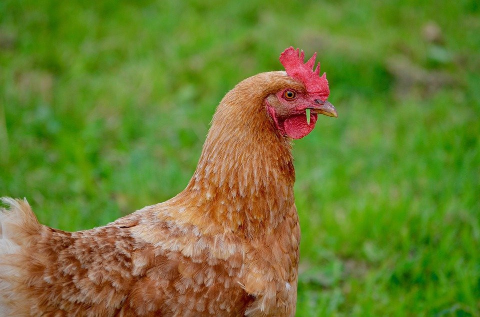 Họ dễ mắc các vấn đề như đau mỏi vai gáy. Một số ít người sẽ bị bệnh cũ tái phát, cần phòng ngừa các vấn đề về cột sống cổ.