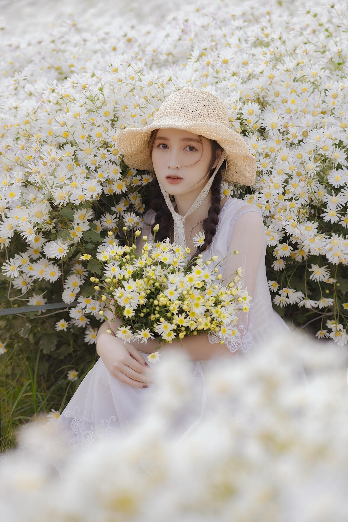 Hoa khoi DHQG Ha Noi khoe sac ben cuc hoa mi-Hinh-7