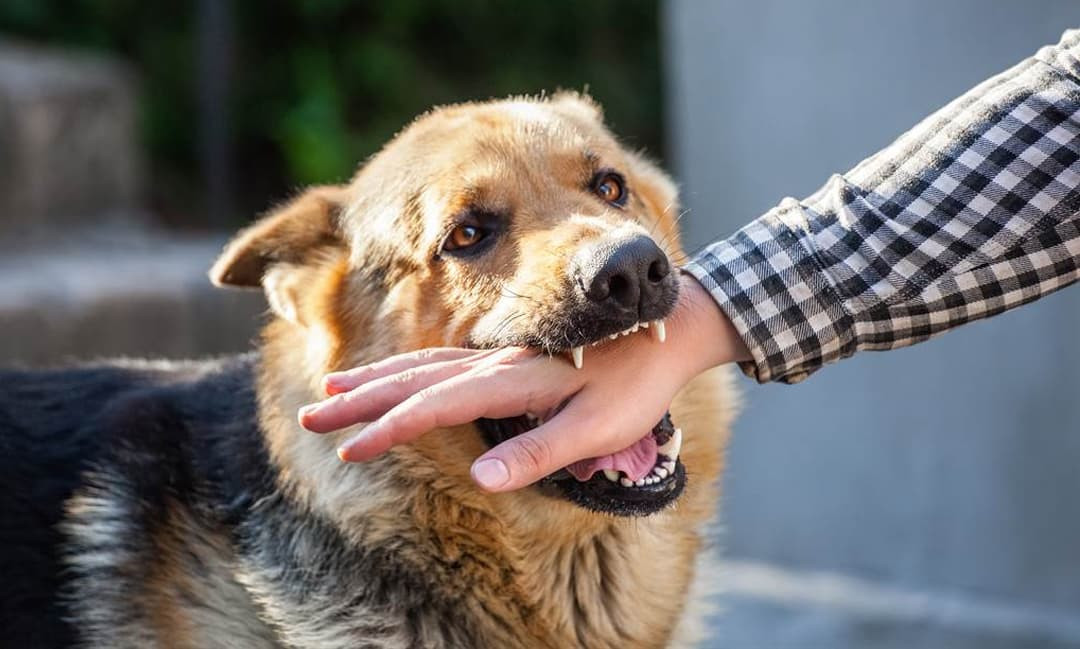 4 giấc mơ cho thấy kẻ ác ở gần, bạn có thể gặp rắc rối 4 giac mo cho thay ke ac o gan, ban co the gap rac roi