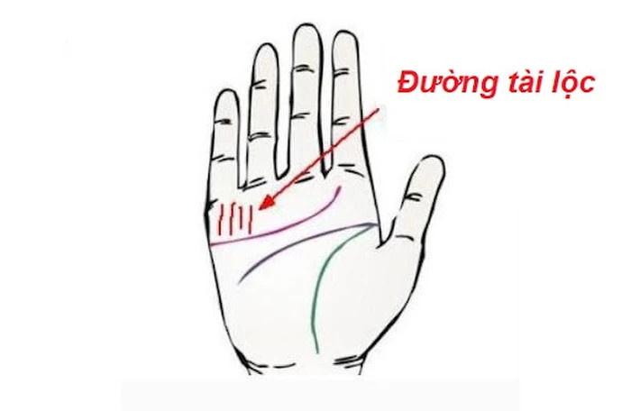 Ban tay co diem nay khong som thi muon cung thanh dai gia giau khung-Hinh-2