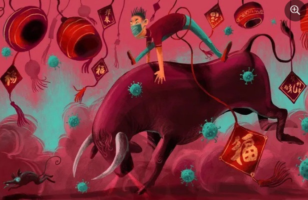 Chuyen gia phong thuy du doan van menh 12 con giap nam Tan Suu-Hinh-2