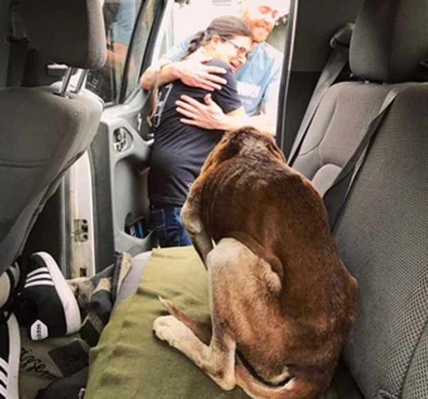 Loi don tieng cho sua nhu tieng khoc, co gai quyet tim su that-Hinh-3