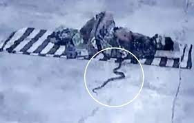 Dang ngu thay nhot chan, bat day thay ran ho mang chui vao chan