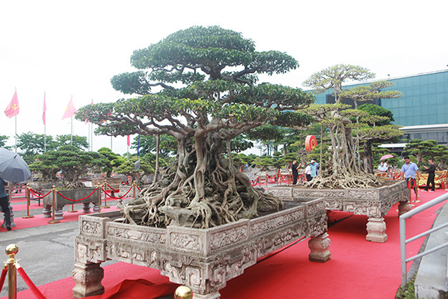 Hai tác phẩm sanh cỡ đại của đại gia Hải Dương có giá trị hàng chục tỷ đồng.