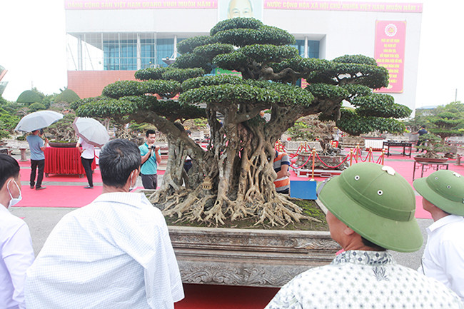 Sanh cổ “Thành đồng tổ quốc” của anh Dương Văn Mười (Thường Tín, Hà Nội) là tác phẩm rất nổi tiếng. Mới đây, anh Toàn đã trả 1,5 triệu đô la nhưng chủ nhân chưa bán.