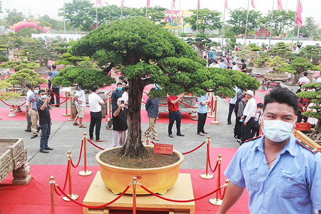 Tác phẩm "Duyên tùng" có tuổi đời khoảng 300 năm có giá trị hàng chục tỷ đồng. Theo chia sẻ của anh Toàn, tác phẩm này đẹp đến nỗi, nghệ nhân người Nhật Bản sang nhìn thấy cũng phải “ngả mũ” thán phục.