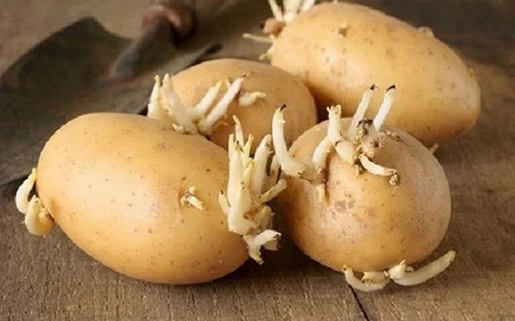 6 thực phẩm khiến gan rỗ như tổ ong bầu nên tránh thật xa - Hình 2 6 thuc pham khien gan ro nhu to ong bau nen tranh that xa-Hinh-2