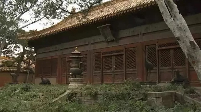 Giai ma 3 dien bi an nhat Tu Cam Thanh chua mot lan mo cua-Hinh-2