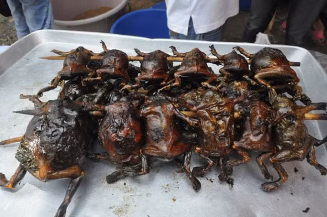 Ở Việt Nam có nhiều con vật nhìn lần đầu chắc chắn nhiều người sợ nổi da gà, thế nhưng ít ai biết rằng nhiều con trong số đó có thể làm món ăn đặc sản và được nhiều người ráo riết lùng mua. Trong số đó có con ếch òn.