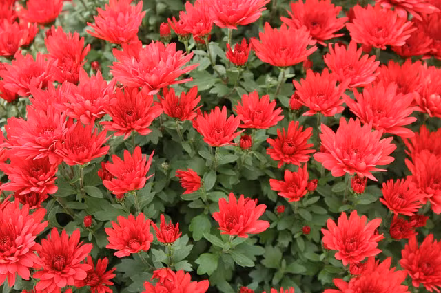  Những người sinh vào tháng 6 Âm lịch. Bói ngày sinh Âm lịch, người sinh vào thời điểm tháng 6 Âm lịch có tính cách nhiệt tình, biết đối nhân xử thế. Những người này thường được quý nhân phù trợ. Có thể trở thành người như vậy là do họ có phúc mạng dồi dào.