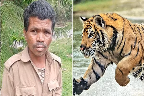 Nhan vien so thu bi ho vo chet khi dang lam viec