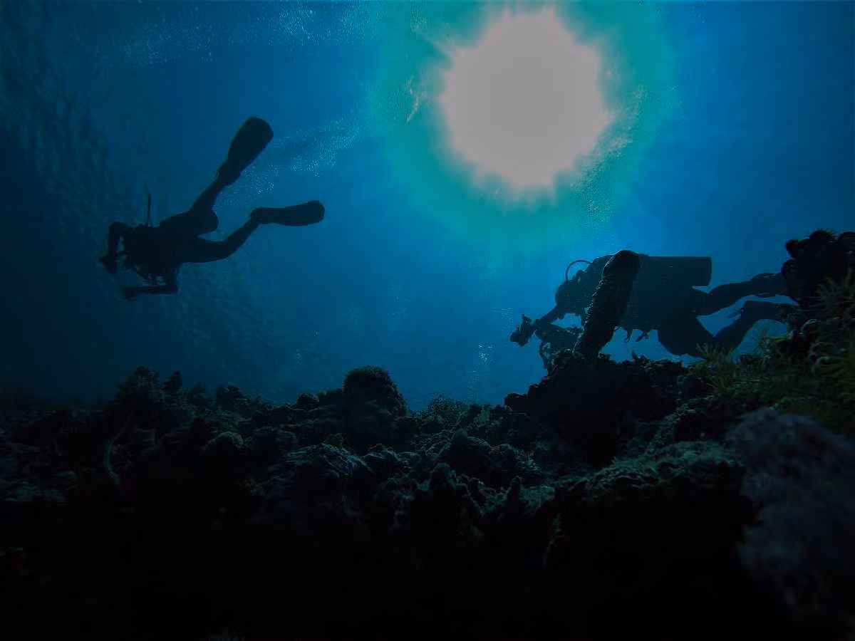 Quoc dao Maldives co gi dac biet?-Hinh-6