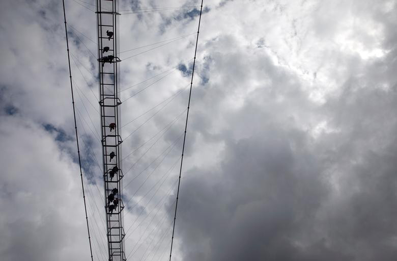 Người dân địa phương hy vọng, cây cầu Arouca sẽ trở thành địa điểm thu hút du khách.