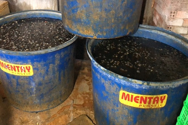 Hai hung phat hien 2,2 tan thit oc ngam hoa chat o TP HCM