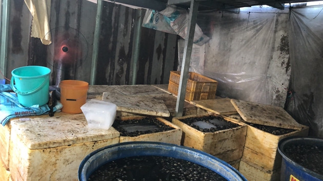 Hai hung phat hien 2,2 tan thit oc ngam hoa chat o TP HCM-Hinh-2