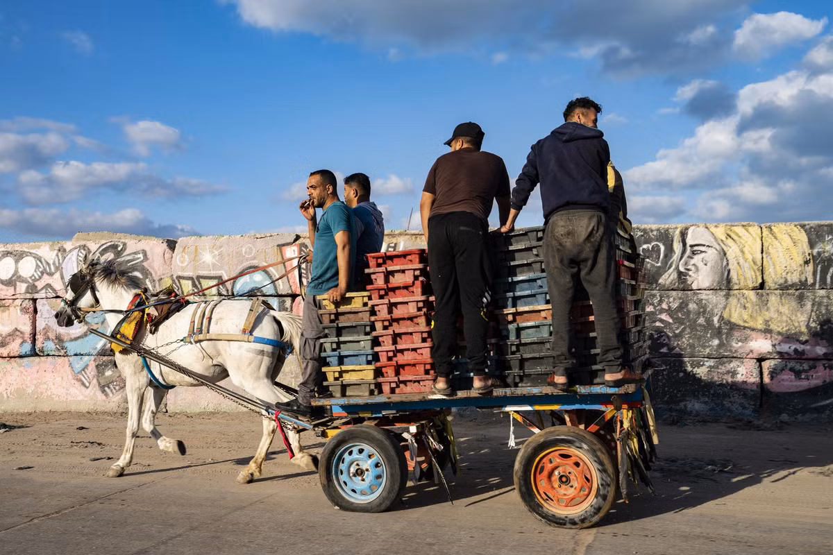 Ngư dân vận chuyển hàng hóa bằng xe ngựa tới chợ ở thành phố Gaza để bán.